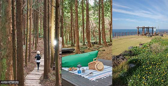 서귀포자연휴양림