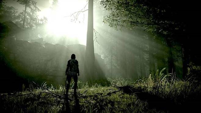 (이 몽환적인 세계가 풀HD 그래픽으로!)