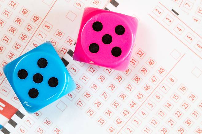 /사진=이미지투데이