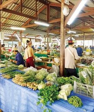 매주 일요일 열리는 징자이마켓. 고산족이 재배한 농산물과 공예품을 판다.