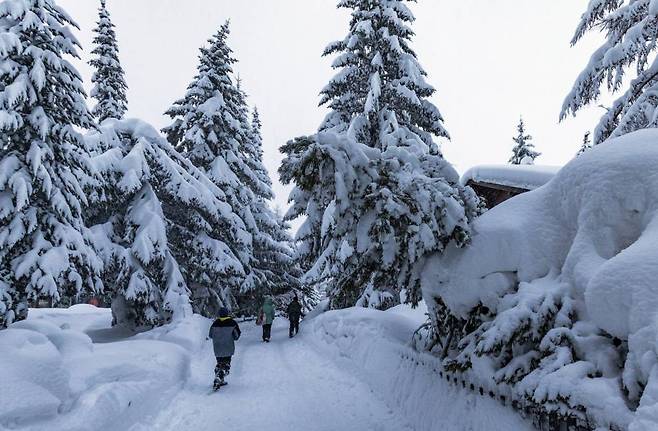 1월9일 스위스 알프스의 체르마트 인근 사스페 마을에 내린 폭설 위험 때문에 무려 1만 3000명의 관광객과 스키어들에게 한 때 대피령이 내려지고 이곳으로 가는 모든 열차, 버스, 승용차편과 도로가 폐쇄됐다. 사진=AP/뉴시스