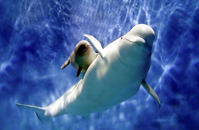 사진=신화통신 연합뉴스