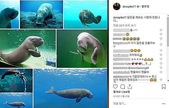 사진 속 남자는 진짜 돈스파이크인 것으로 밝혀졌다. [출처=돈스파이크 인스타그램]