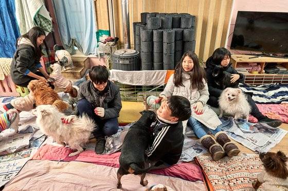 이 씨의 자택 큰 방에 있는 반려견들은 사람을 잘 따랐다. 차연재 학생모델은 이날 경험 덕에 유기견은 허약할 것이라는 편견을 깼다.