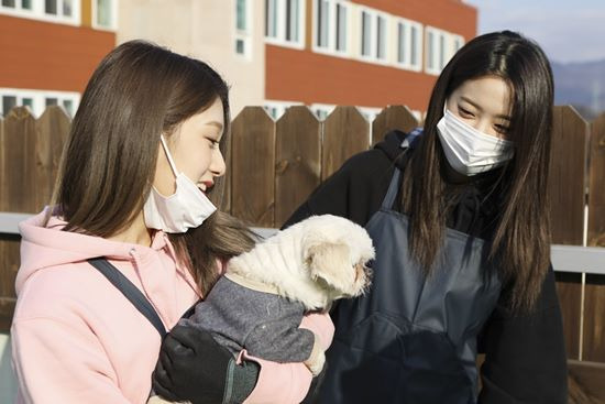 아이즈원·프로미스나인, 유기동물 보호소 봉사..따뜻한 새해 맞이