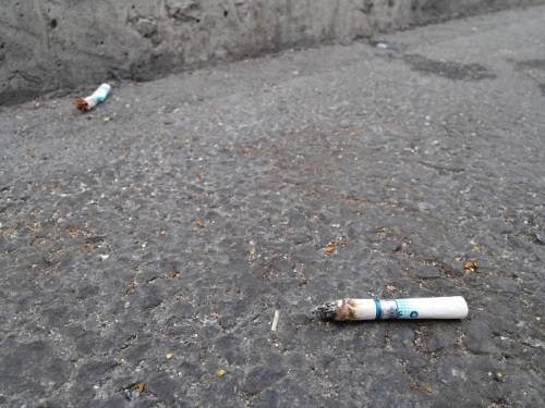 서울 고속버스터미널 인근에 버려진 담배꽁초. 김동환 기자