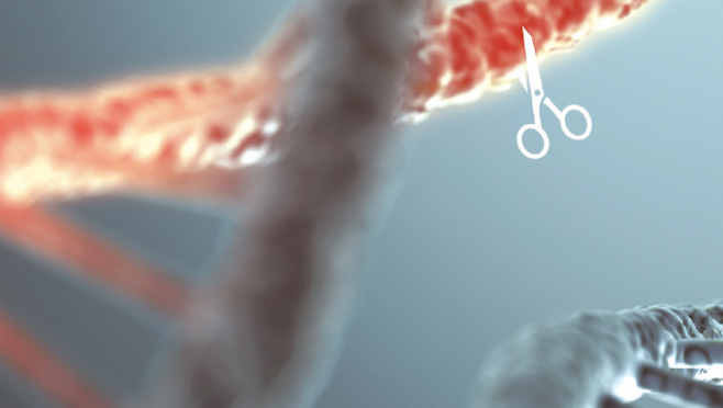 유전자를 잘라 교정할수 있도록 돕는 크리스퍼 Cas9 효소(가위). 과학동아 제공.