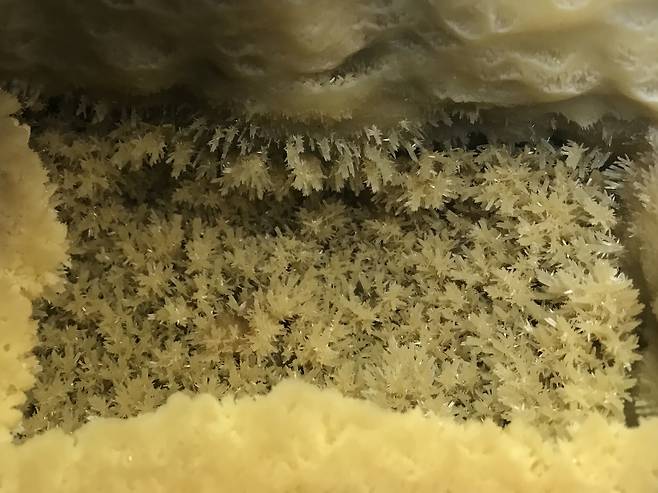 별사탕 모양의 동굴팝콘. 김형규 기자