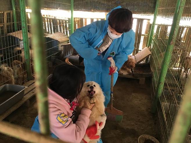 사설보호소 ‘달봉이네’ 시절의 똘이. 봉사자라면 누구나 다 똘이를 한 번쯤 쓰다듬고는 했다.