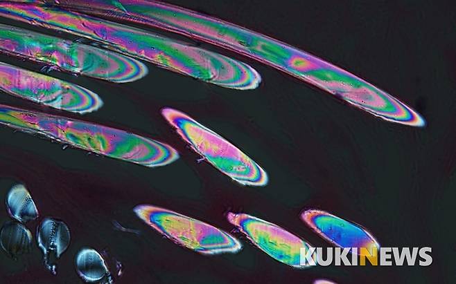 솔롱고스 (Solongos): 무지개나라 이것은 본래 수술로 절개한 부위를 꿰맸던 봉합사이다.  현미경 속에서 솔롱고스가 무더기로 보였다. 어릴 적 명절마다 즐겨 먹던 둥글넙적한 무지개사탕처럼 보이기도 했다. 몽골에서는 한국사람들을 '솔롱고스'라고 부른다. 바이칼호수에 무지개가 많이 뜨기 때문에 그렇게 불렀다는 이야기가 있고, 색동옷을 즐겨 입었기 때문이라는 이야기도 있다.