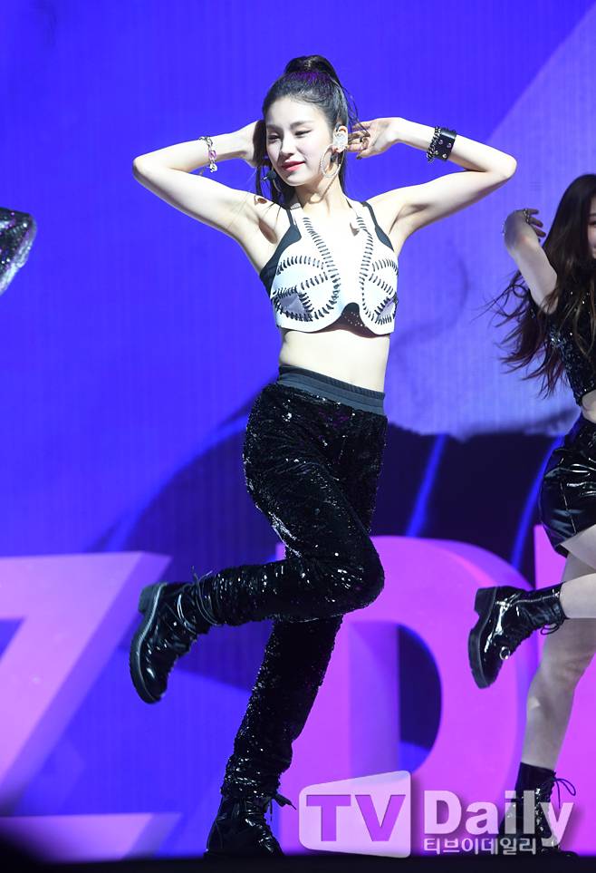 티브이데일리 포토