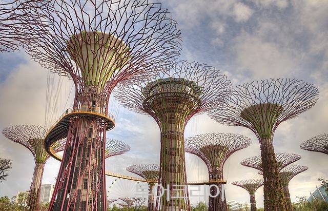 ▲ ⓒ싱가포르관광청