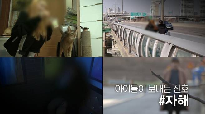 '추적60분' 소리 없는 아우성, 청소년 자해 [KBS]