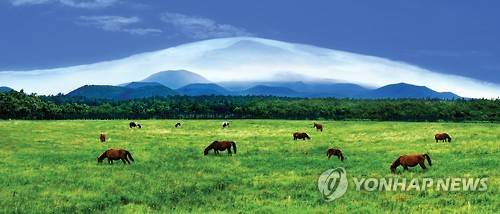 한라산과 오름 그리고 조랑말 (제주=연합뉴스) 구름에 쌓인 한라산과 봉긋봉긋 솟은 오름 그리고 조랑말이 있는 풍경. [제주도 세계유산·한라산연구원 제공 자료사진 ]