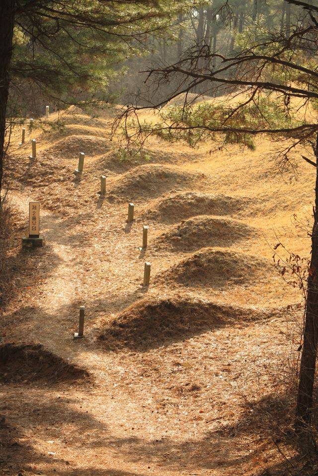 금정역이 있던 충남 청양군의 다락골 줄무덤 성지. 무명순교자들의 시신을 매장한 묘지다. 당시 이 지역이 얼마나 천주교 신앙이 뜨거웠는지 보여 준다. 정민 교수 제공