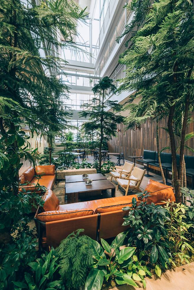 나무로 둘러싸인 1층 라운지의 모습.［사진 이지응 작가］