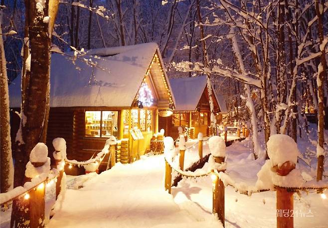 사진 : 훗카이도 서울사무소, '닝구르 테라스'는 숲 속 요정 마을 같은 공방과 카페들로 이루어져 있다.