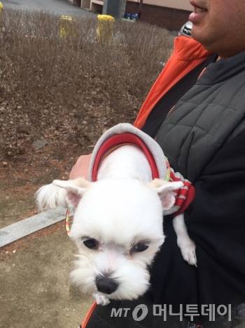 잠깐의 틈을 이용해 산책에 나선 알콩이. 활짝 웃고 있다./사진=남형도 기자