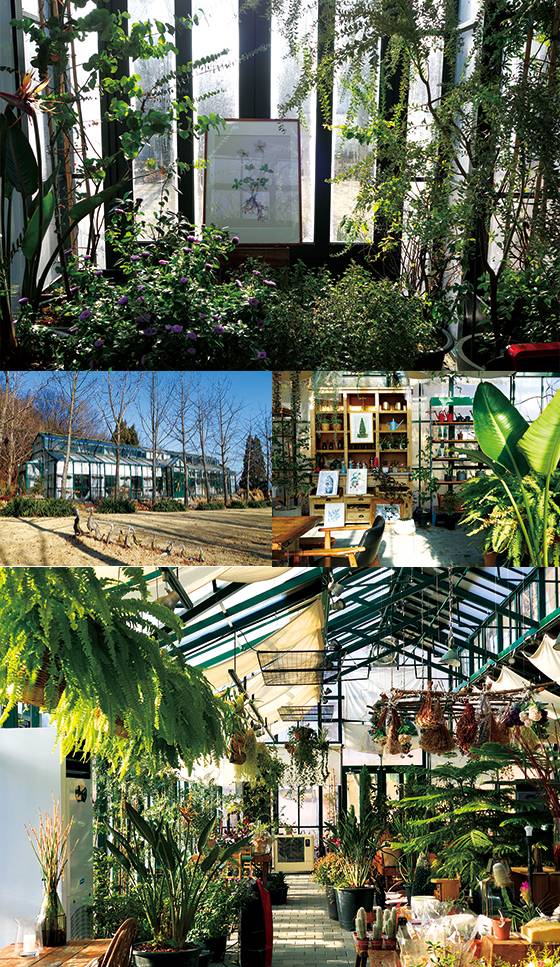 농사짓는 건축가’ 최시영 대표의 농장 파머스대디 안 그린하우스, 액자와 화분, 식물 콘셉트의 소품들을 판매한다, 아메리카노와 함께 내주는 달고 구수한 맛의 따뜻한 군고구마, 초록 잎의 관엽 식물과 공기 정화를 도와주는 식물들로 가득한 실내