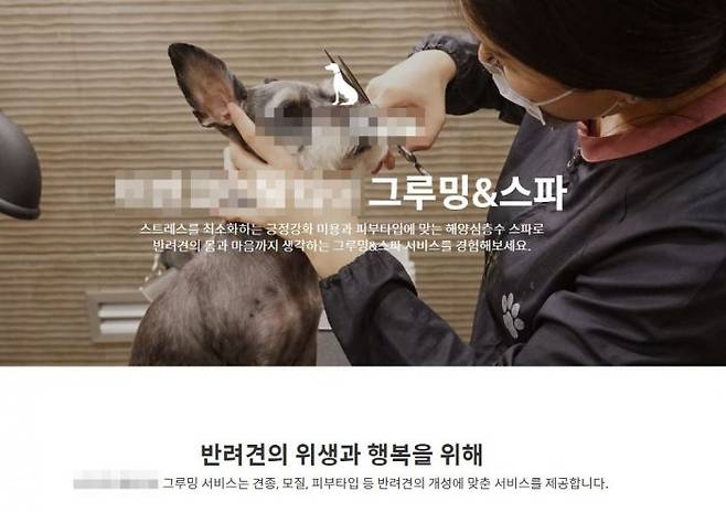 (이미지=바안코이탈리아 홈페이지 캡쳐)