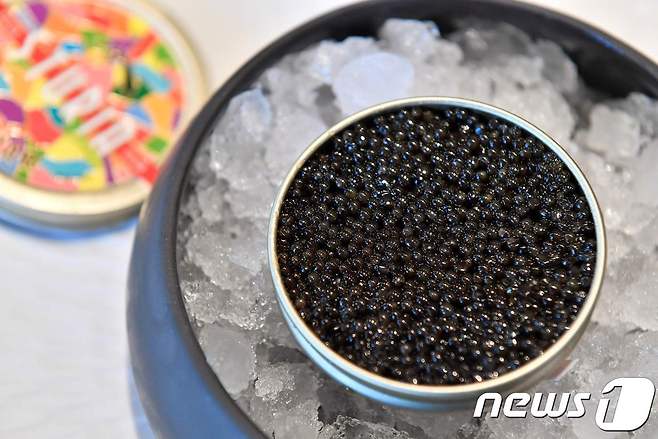 (자료사진) © AFP=뉴스1