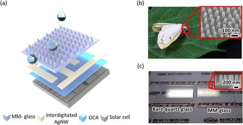 나방 눈의 빛 반사 구조를 모사한 무반사 자기세정 유리 표면 [포항공과대학교 제공]
