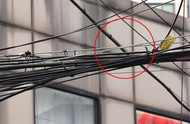 18일 서울 서대문구의 한 전신주에 설치된 조가선(금속 재질의 지지선) 두 가닥이 통신선과 뒤엉키며 서로 교차(붉은 원 안)하고 있다. 한전 규정에 따르면 조가선은 위아래 30cm 간격을 유지해야 한다.