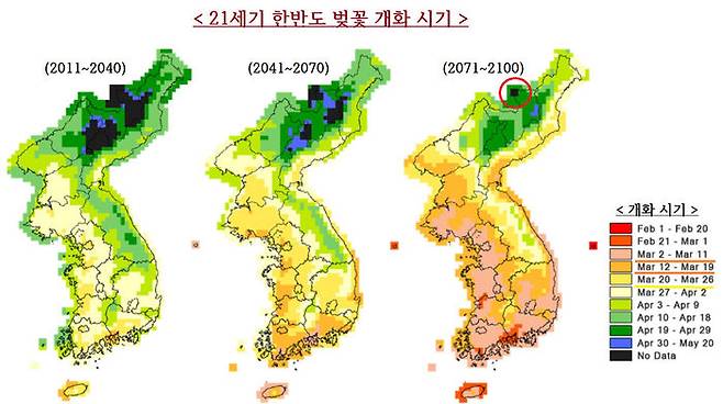 21세기 한반도 벚꽃 개화 시기 (자료: 김진희 등, 2013)