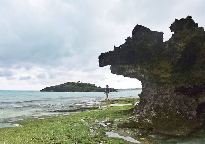 검은 꽃을 뜻하는 쿠로하나해변