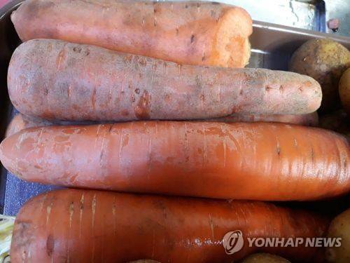 당근 [연합뉴스 자료 사진]  기사 내용과 직접 관련 없는 참고용 자료 사진임