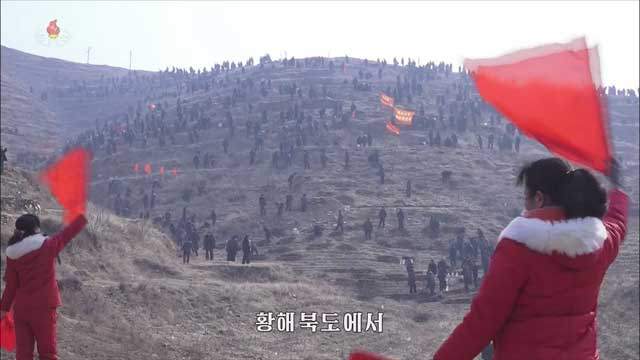 전투적으로 동원된 나무 심기