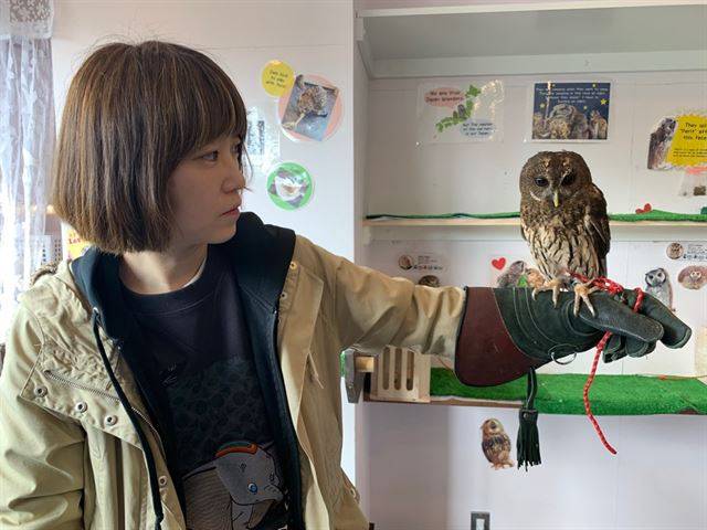 기자가 지난 25일 일본 도쿄 하라주쿠(原宿)에 있는 부엉이카페에서 부엉이 한 마리를 손에 올려보고 있다. 고은경 기자