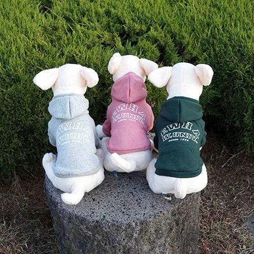 이화여대 기념품숍에서 판매하는 강아지 기모 후드. [사진 이화기념품점]