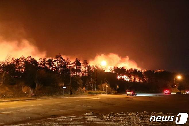 4일 오후 7시17분쯤 강원 고성군 토성면 원암리의 한 주유소 인근 야산에서 발생한 산불이 번지고 있다./사진=뉴스1