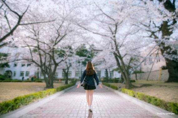 EOS-1D X | EF16-35mm F2.8L II USM으로 촬영(출처: 캐논 블로그)