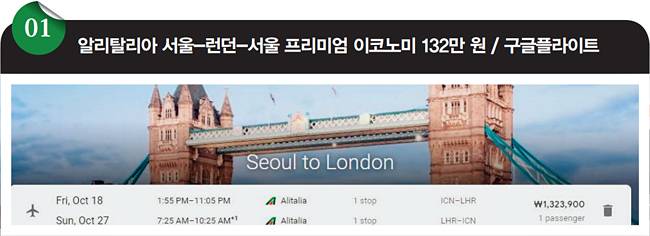 [구글플라이트]