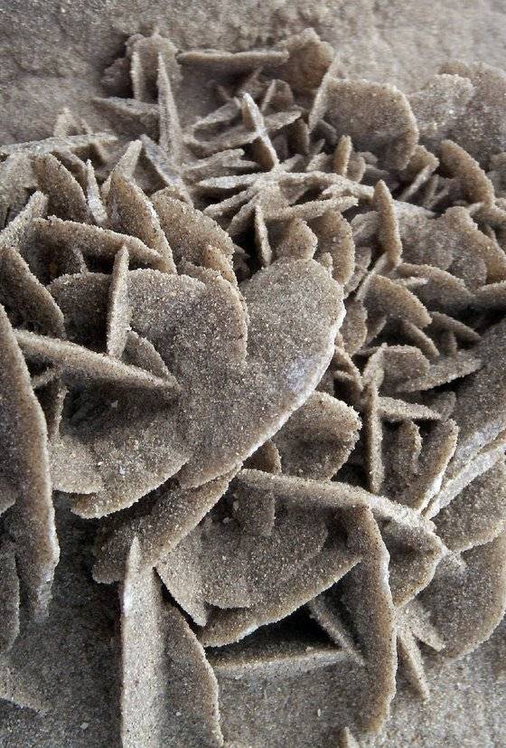 실제 사막 장미의 모습. 해양 사막 국가에서 드물게 나타나는 모래와 해수의 결정체다.［사진 현대건설］