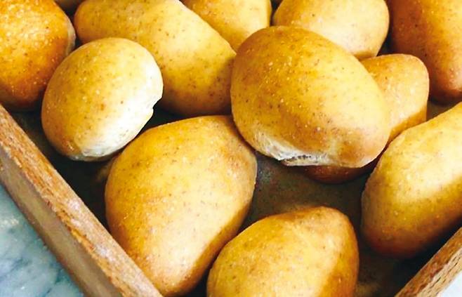 내가 만든 ‘보콘치니’. 시험 과제로 나온 보콘치니 인테그랄리. 통밀로 만든 식전 빵이다.