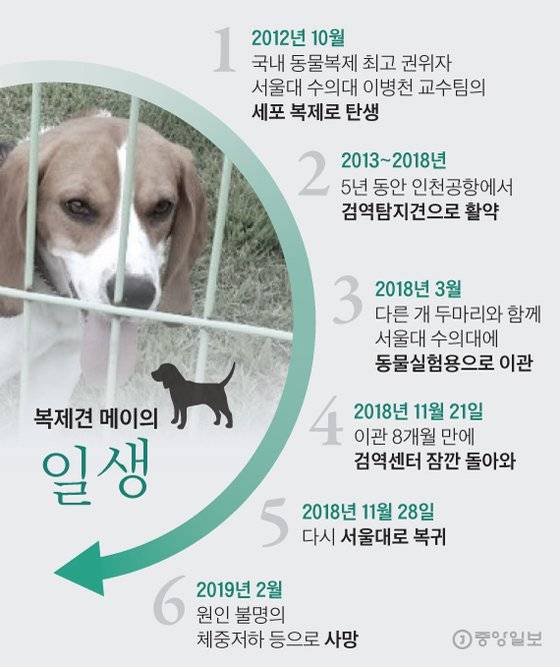 그래픽=김현서 kim.hyeonseo12@joongang.co.kr