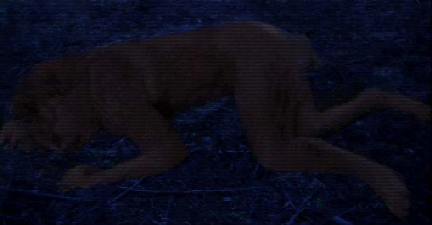 (이 늑대를 쏘고나면..)