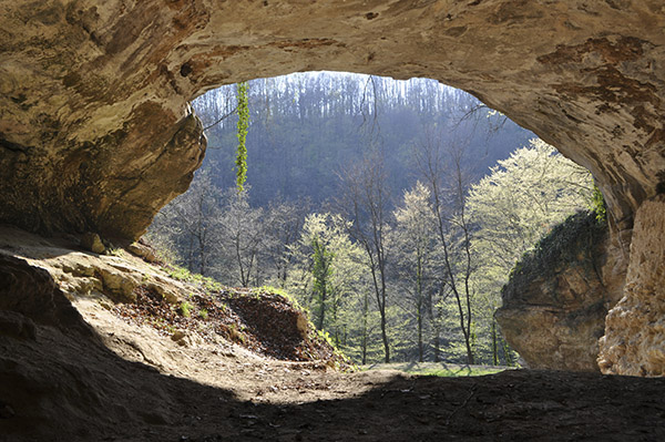 ⓒMax Planck Institute 네안데르탈인 유적인 크로아티아 빈디야 동굴 안에서 바깥을 내다본 모습.