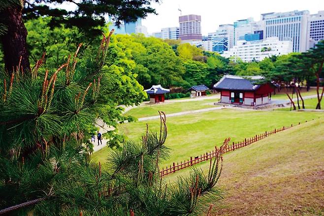 선정릉공원