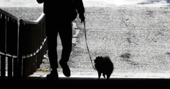 반려동물도 여러가지 이유로 언젠가는 보호자의 품을 떠나게 된다. 보호자는 이러한 현상을 자연스럽게 받아들이고 잃고 난 후 슬픔과 상실감에 심한 스트레스를 겪지 않도록 준비해야 한다. [연합뉴스]