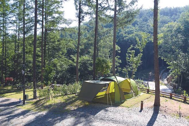 아늑한 분위기가 일품인 2캠핑장.