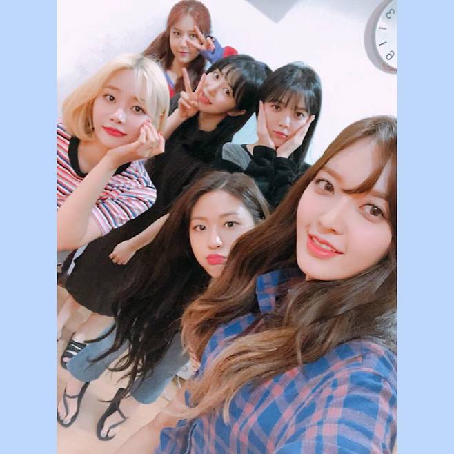 aoa 공식 SNS