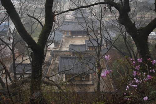 장성 필암서원 [문화재청 제공]
