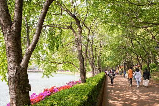 동호와 서호로 나뉜 인공호수 석촌호 주변에 조성된 송파나루공원의 2.5km 길이 산책로. 사진제공｜서울관광재단