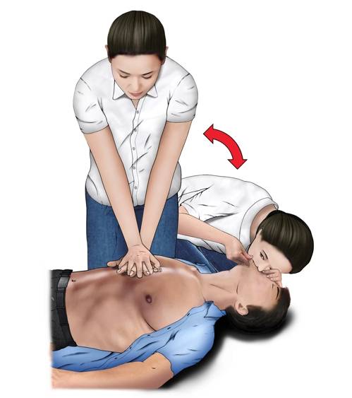 가슴압박-인공호흡 [질병관리본부 제공]
