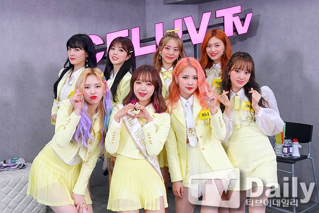 위키미키