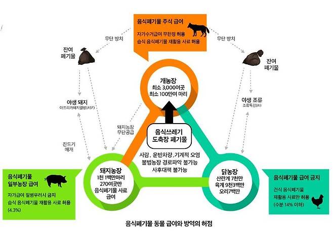 개농장에서 음식폐기물을 수거·급여·무단 폐기하는 모든 과정에서 오염원이 기계적 오염으로 무차별 확산되며 돼지농장과 닭농장의 방역망은 와해된다.